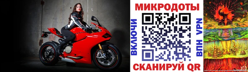 Псилоцибиновые грибы GOLDEN TEACHER Дно